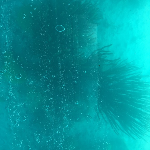 Meet your Posher, Kris - Picture 6 of 7